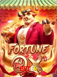 BET6K.COM